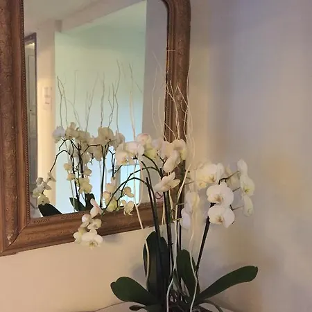 Hotel Le