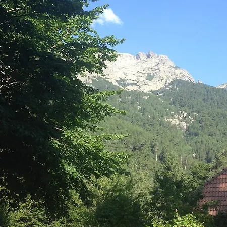 Le 3* Vizzavona